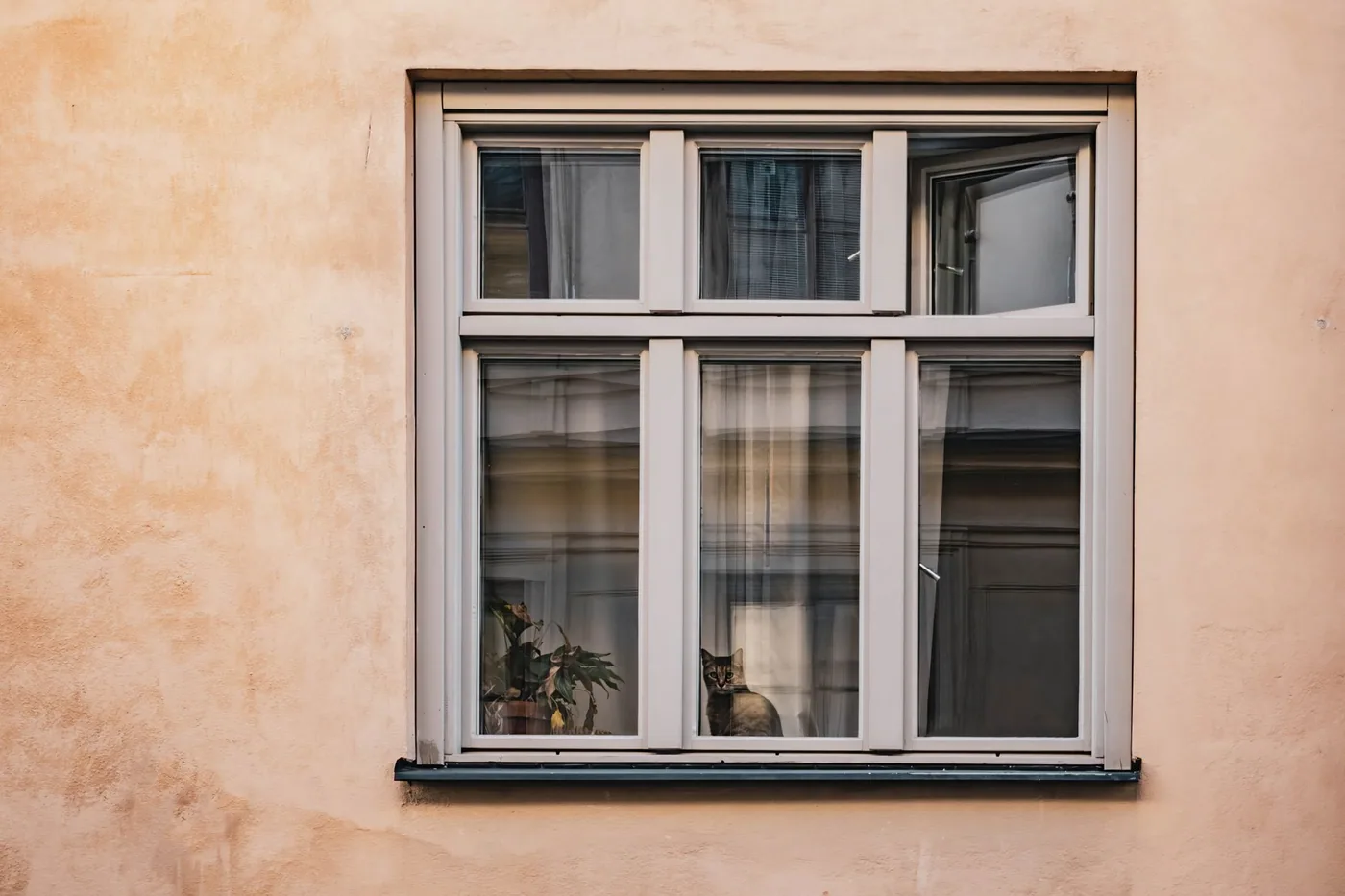 Kočka sedí u okna ve stockholmském bytě