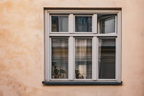 Kočka sedí u okna ve stockholmském bytě