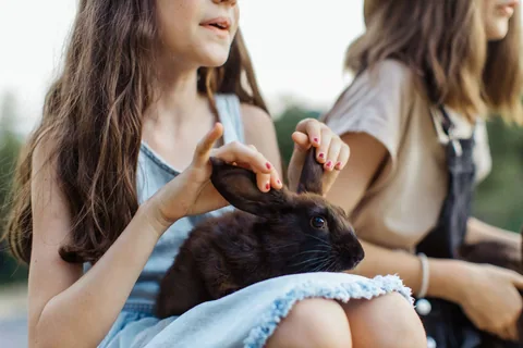 Dvě dívky drží králíka venku