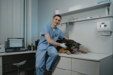 Veterinář vyšetřuje černého psa v ordinaci