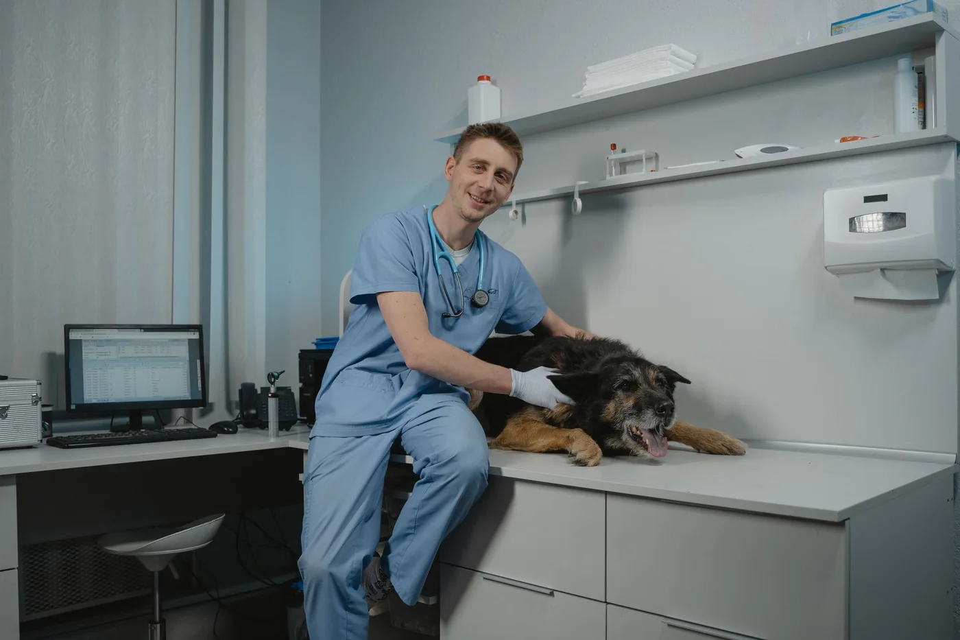 Veterinář vyšetřuje černého psa v ordinaci