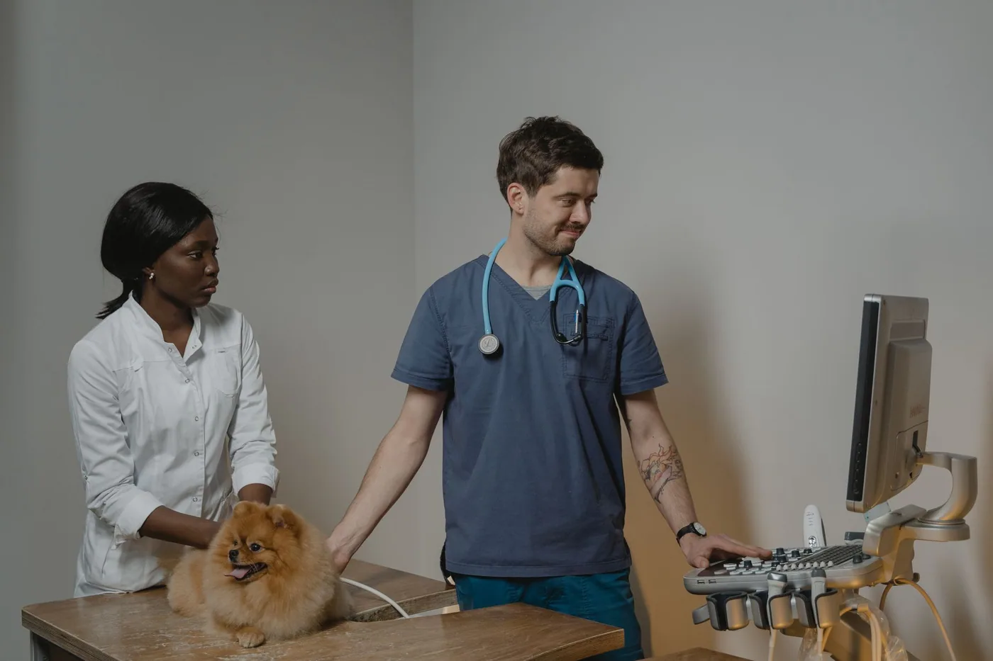 Veterinář dělá psovi ultrazvuk za asistence sestry