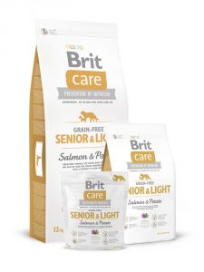 Brit Care Dog Grain-free Senior Salmon & Potato 1kg